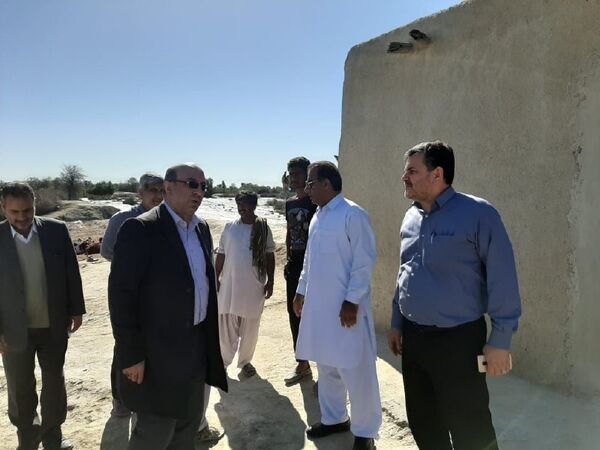 بیش از 1 میلیون رأس دام در سیستان و بلوچستان درگیر سیل هستند