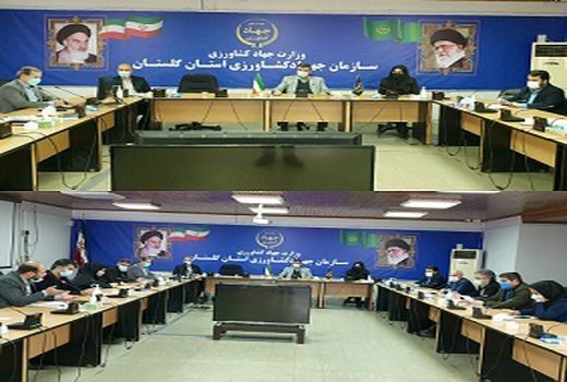 برگزاری جلسه کمیته مدیریت عملکرد سازمان جهادکشاورزی استان گلستان 