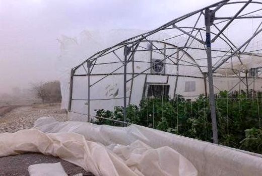 خسارت پنج میلیارد ریالی طوفان به گلخانه‌داران مهریز 