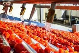 جذب سرمایه گذار صنایع کشاورزی در خوزستان