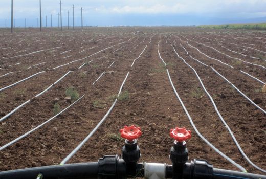 اجرای سیستم آبیاری نوین در سطح 450 هکتار از اراضی کشاورزی شهرستان البرز