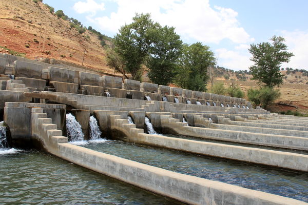 رونق تولید و رشد اقتصادی با افزایش سرمایه گذاری در بخش آبزی پروری