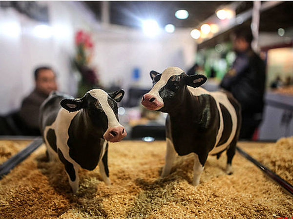 ا«یران‌پلکس»گردهمایی فعالان صنعت دام، طیور وآبزیان در تهران