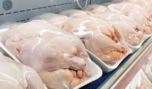 ذخیره‌سازی ۲۶۱۶ تن گوشت مرغ در فارس