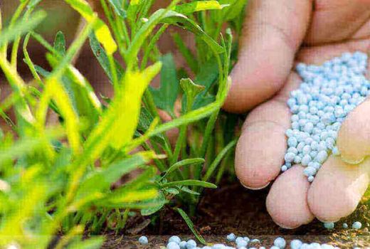 تسهیلات 10 هزار میلیاردی برای تامین کودهای کشاورزی