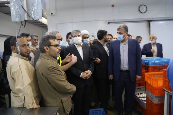 رفع عوارض صادراتی برخی از محصولات دامی