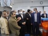 رفع عوارض صادراتی برخی از محصولات دامی