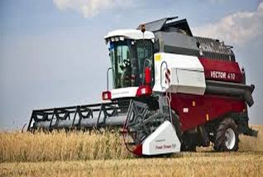 روسیه جایگزین آمریکا در بازار گندم مکزیک