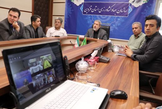 آمار جوجه‌ریزی در قزوین ۳۲ درصد رشد داشته است