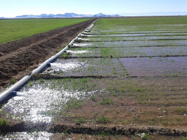 خراسان جنوبی پیشتاز دراجرای سیستم های نوین آبیاری کشور