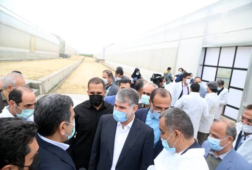 بازدید وزیر جهاد کشاورزی از شرکت زراعی دشت ناز میاندرود