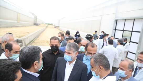 بازدید وزیر جهاد کشاورزی از پروژه های شهرستان بابلسر و فریدونکنار در سفر هیئت دولت به مازندران