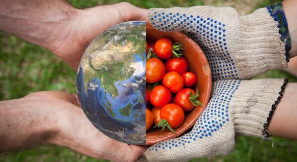 امنیت غذایی؛ ستون اصلی ثبات اقتصادی و اجتماعی  