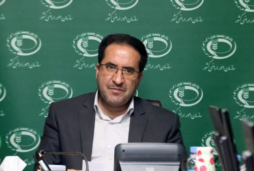 نظارت بر نحوه و فرایند واگذاری زمین تشدید شود