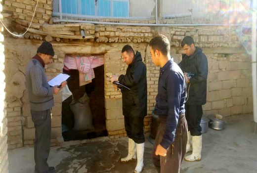 آغاز طرح واکسیناسیون دام‌های سنگین شهرستان کیار