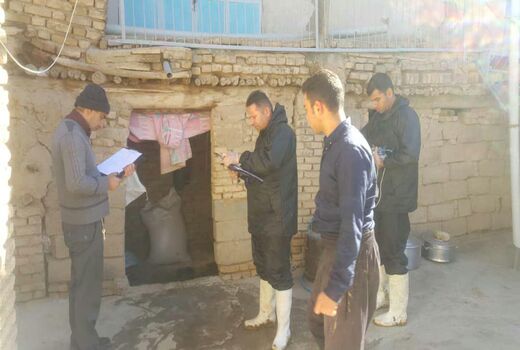 آغاز طرح واکسیناسیون دام‌های سنگین شهرستان کیار