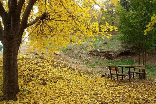 8 هکتار از بوستان جنگلی سرخه حصار دارای سند مالکیت تک برگ شد
