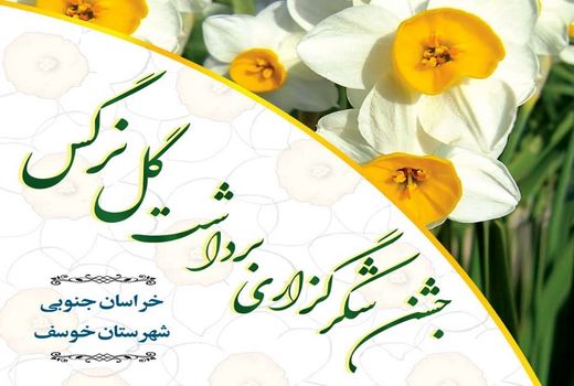 امضای تفاهمات برای توسعه گل نرگس