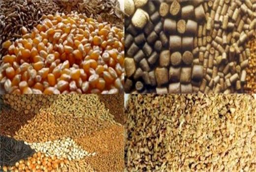 توزیع 510 هزارتن نهاده دامی و خوراک دام در فارس 