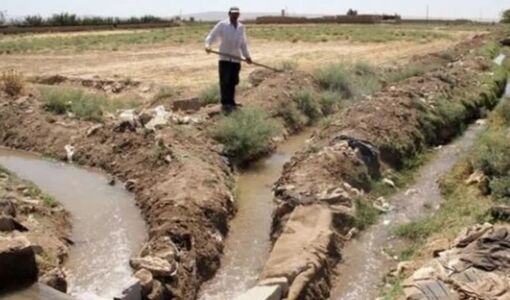 یکپارچه‌سازی کشت و حقابه؛ راهکاری بومی برای کاهش اتلاف آب در مزارع