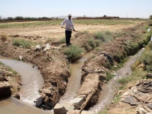 یکپارچه‌سازی کشت و حقابه؛ راهکاری بومی برای کاهش اتلاف آب در مزارع