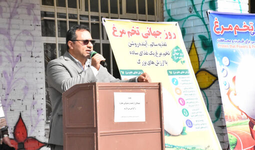 تولید سالانه ۱۱۴ هزار تن تخم‌مرغ در آذربایجان شرقی