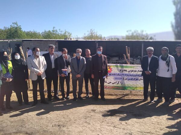 بازدید از کانون یادگیری اصلاح نژاد دام سبک شهرک قدس ایلام