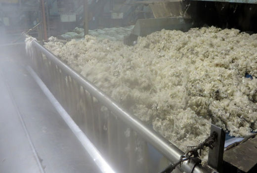 پساب پشم؛ ثروتی که دور می‌ریزیم