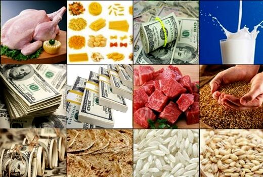 اظهارنظر ۷ کارشناس ارشد اقتصاد درباره ضرورت اصلاح یارانه کالاهای اساسی