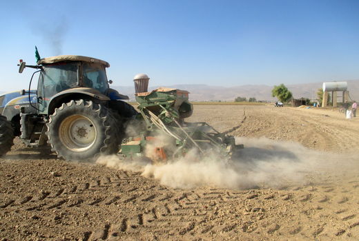 آغاز کشت محصولات شتوی در شهرستان کوار