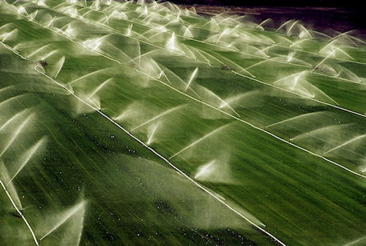 آغاز بهره‌برداری از طرح عظیم آبفشان‌ها و قطره‌چکان‌ها در جولانگاه سابق تانک‌ها و ارابه‌های جنگی