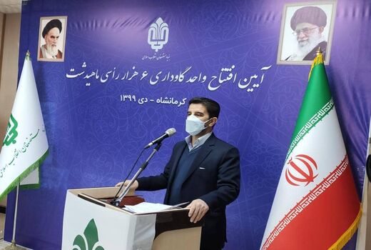  سرمایه گذاری بیشتر بنیاد مستضعفان در عرصه تولیدات کشاورزی استان کرمانشاه