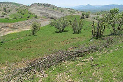طرح‌های آبخیزداری در هفت روستای بوئین زهرا اجرا شد
