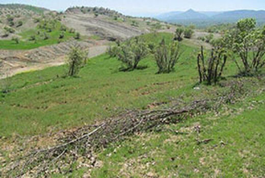 طرح‌های آبخیزداری در هفت روستای بوئین زهرا اجرا شد