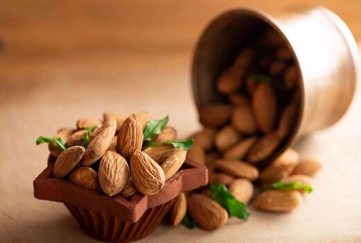 سطح زیر کشت باغات بادام در چهارمحال و بختیاری به ۲۰ هزار هکتار رسید