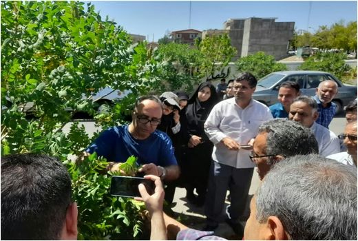 برگزاری کارگاه آموزش مهارتی پیوند سماق در شهرستان هوراند