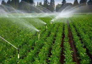 بررسی وضعیت اجرای طرح شبکه های آبیاری و زهکشی شمال غرب کشور در آدربایجان غربی