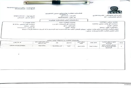 آغاز شناسنامه دار شدن باغ‌های خنج
