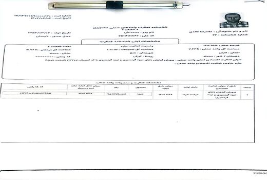 آغاز شناسنامه دار شدن باغ‌های خنج