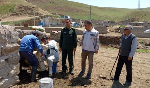 واکسینه شدن 22 هزار رأس دام سبک علیه بیماری بروسلوز در کلیبر