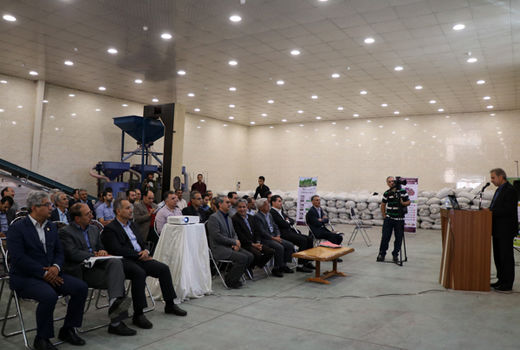 ضرورت شکل‌گیری ساختار ویژه تولید بذر چغندرقند در کشور 