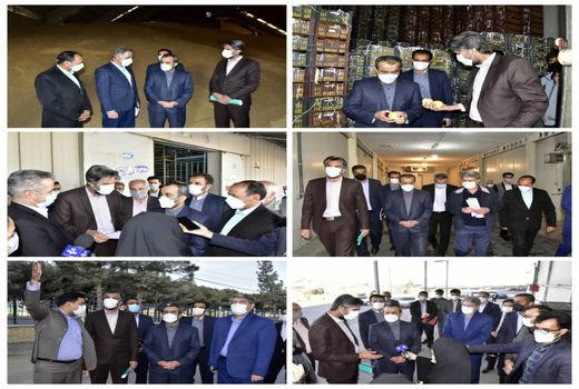 بازدید رئیس سازمان و استاندار از انبارهای ذخیره کالاهای اساسی و نهاده های کشاورزی استان