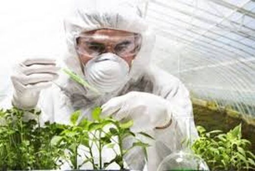 کلینیک‌های گیاه پزشکی، بازوان توانمند حفظ نباتات در تولید محصولات زراعی و باغی