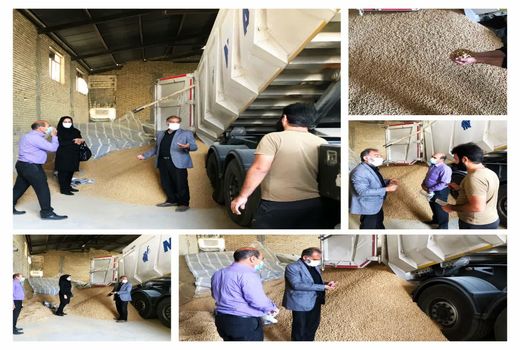 نظارت بر روند توزیع نهاده های دامی در شهرستان سامان