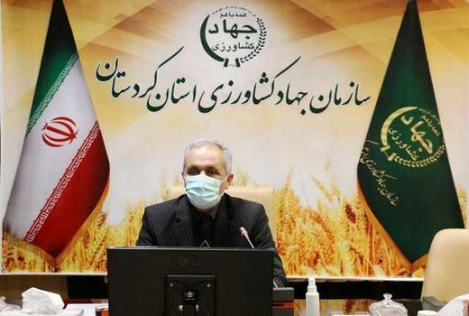 صادرات گندم کردستان به ۱۴ استان کشور
