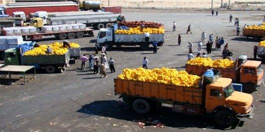 صادرات محصولات کشاورزی خراسان شمالی افزایش یافت