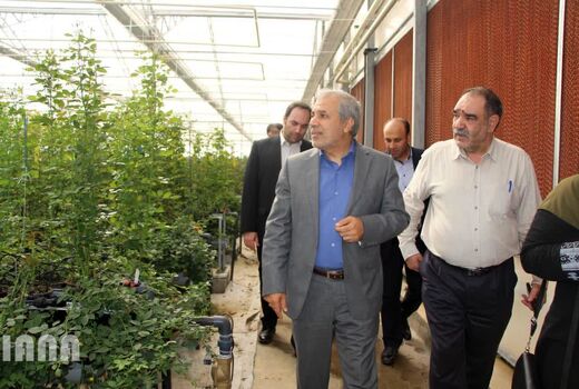 بازدید معاون امور باغبانی وزیر جهادکشاورزی از پروژه های کشاورزی شهرستان پیشوا
