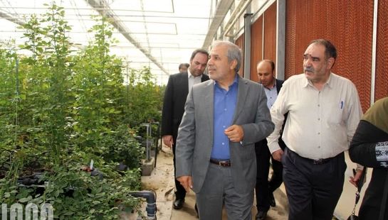 بازدید معاون امور باغبانی وزیر جهادکشاورزی از پروژه های کشاورزی شهرستان پیشوا