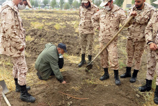  برگزاری دوره مهارتی زراعت زعفران در شهرستان بناب