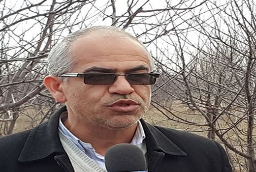 باغات دراراضی شیب‌دار توسعه می‌یابند